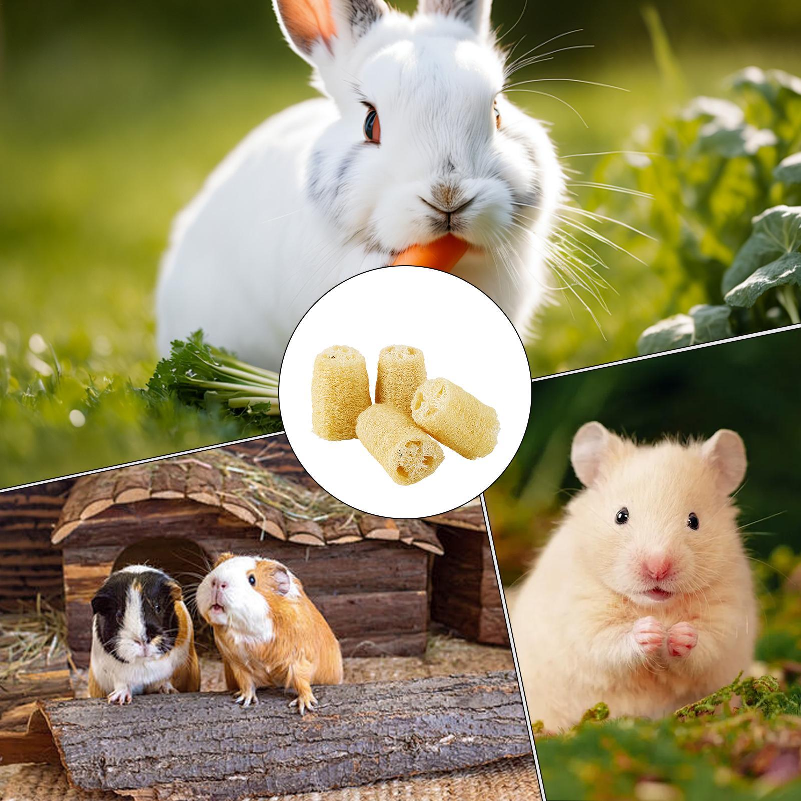 Pet Supplies Pet Shop - Kauspielzeug für Hasen, 4-teilig, Luffa, Chinchilla,