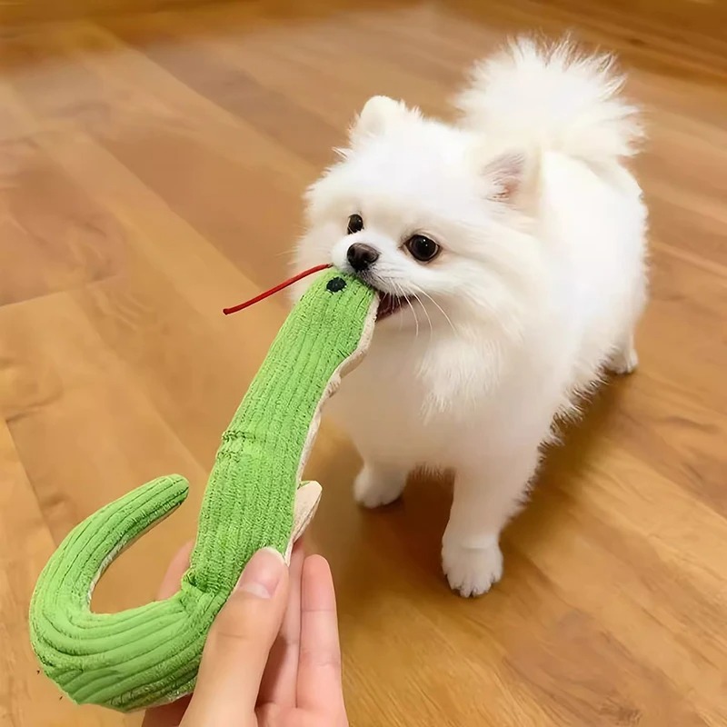 16,5 Zoll Hundespielzeug Kätzc – Pet Dental Chew Toy Bewertung und Preis