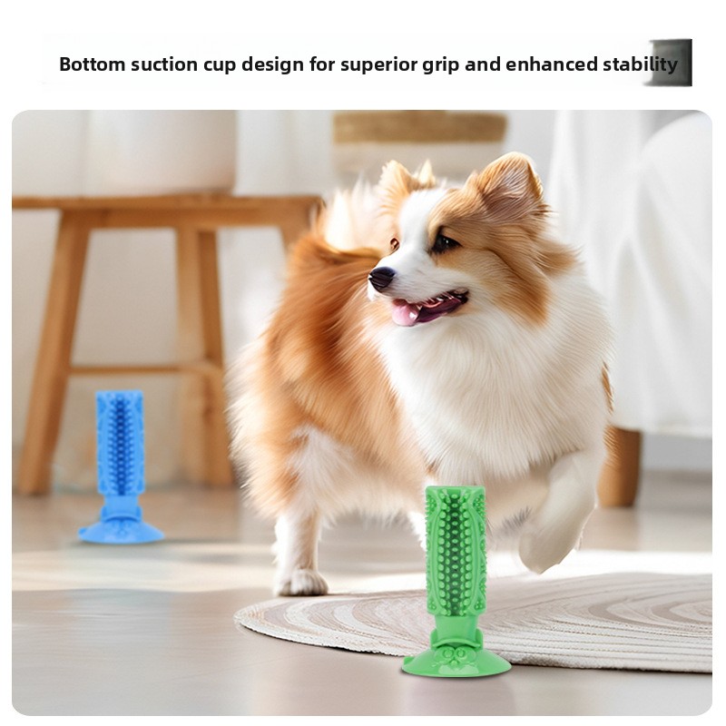Hundezahnreinigungs-Kauspielze – Pet Dental Chew Toy Bewertung und Preis