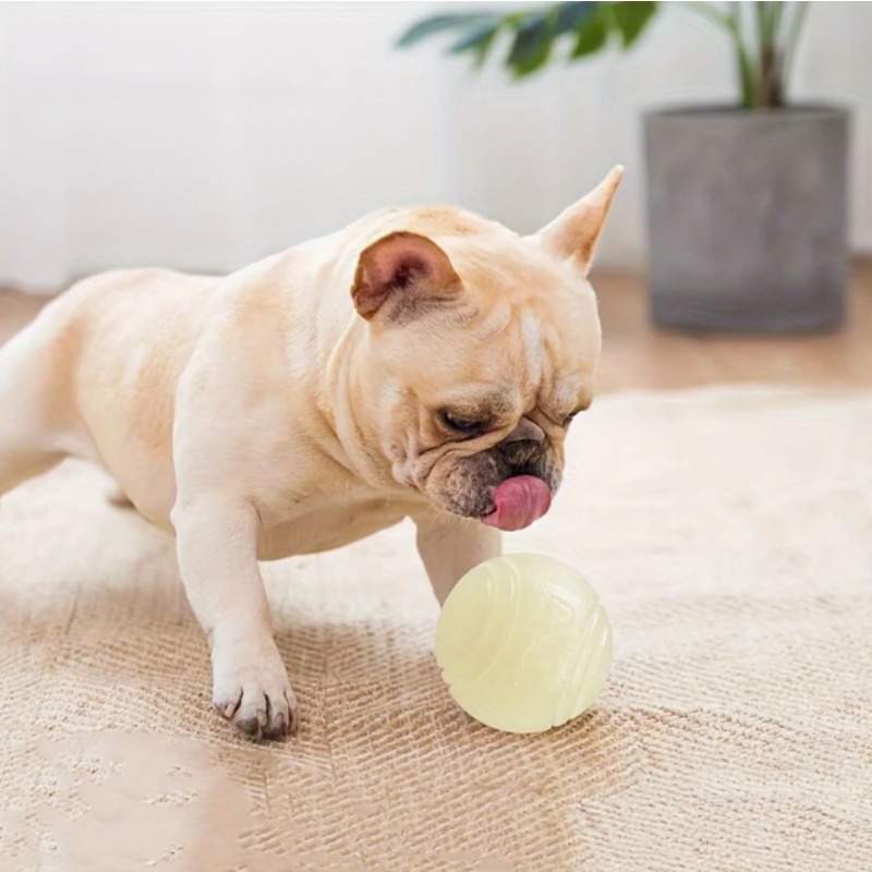 Im Dunkeln Leuchtender Gummi-H – Pet Dental Chew Toy Bewertung und Preis
