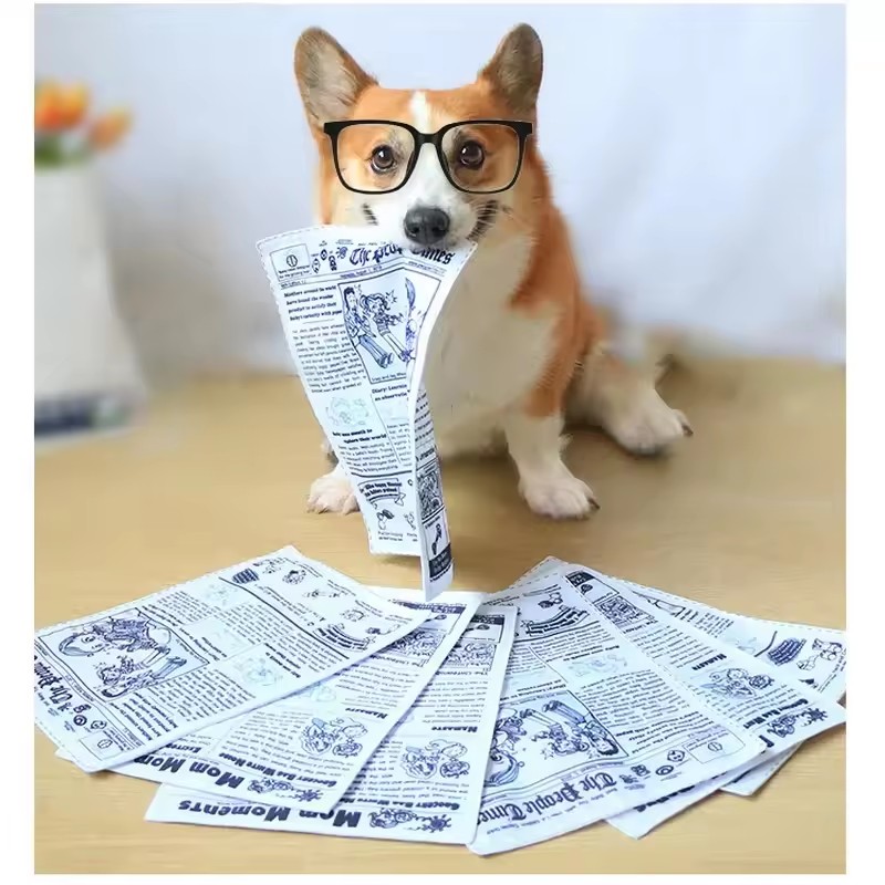 Bissfeste Zeitungs-Hundespielz – Pet Dental Chew Toy Bewertung und Preis