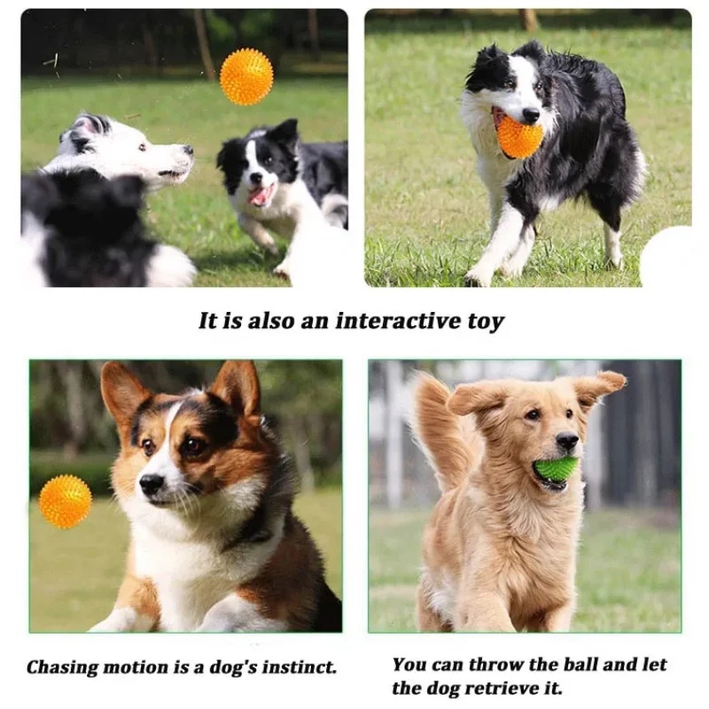 TPR Quietschendes Haustier-Kau – Pet Dental Chew Toy Bewertung und Preis