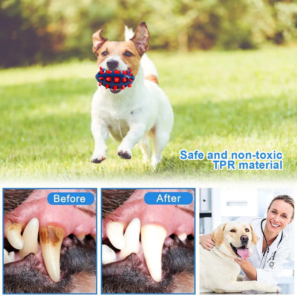 1/2Pcs Quietschende Hund Kauen – Pet Dental Chew Toy Bewertung und Preis