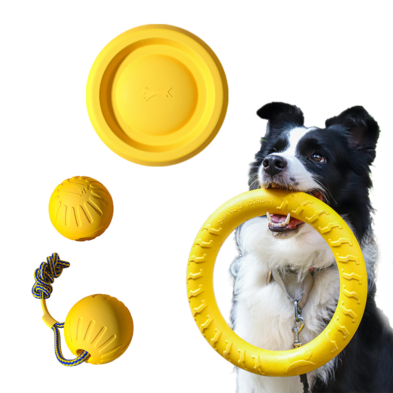 Langlebiges EVA-Hundespielzeug – Pet Dental Chew Toy Bewertung und Preis