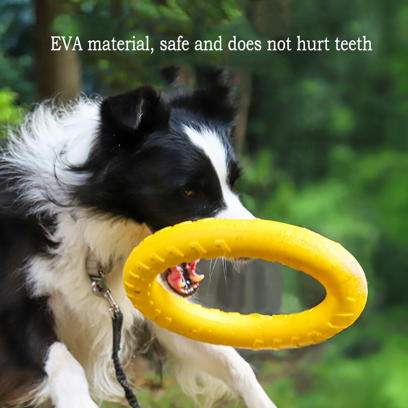 Langlebiges EVA-Hundespielzeug – Pet Dental Chew Toy Bewertung und Preis