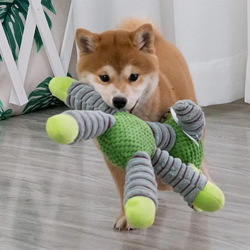 Unzerstörbare Quietschende Hun – Pet Dental Chew Toy Bewertung und Preis