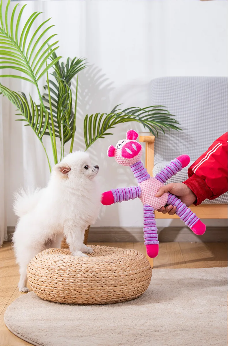 Unzerstörbare Quietschende Hun – Pet Dental Chew Toy Bewertung und Preis