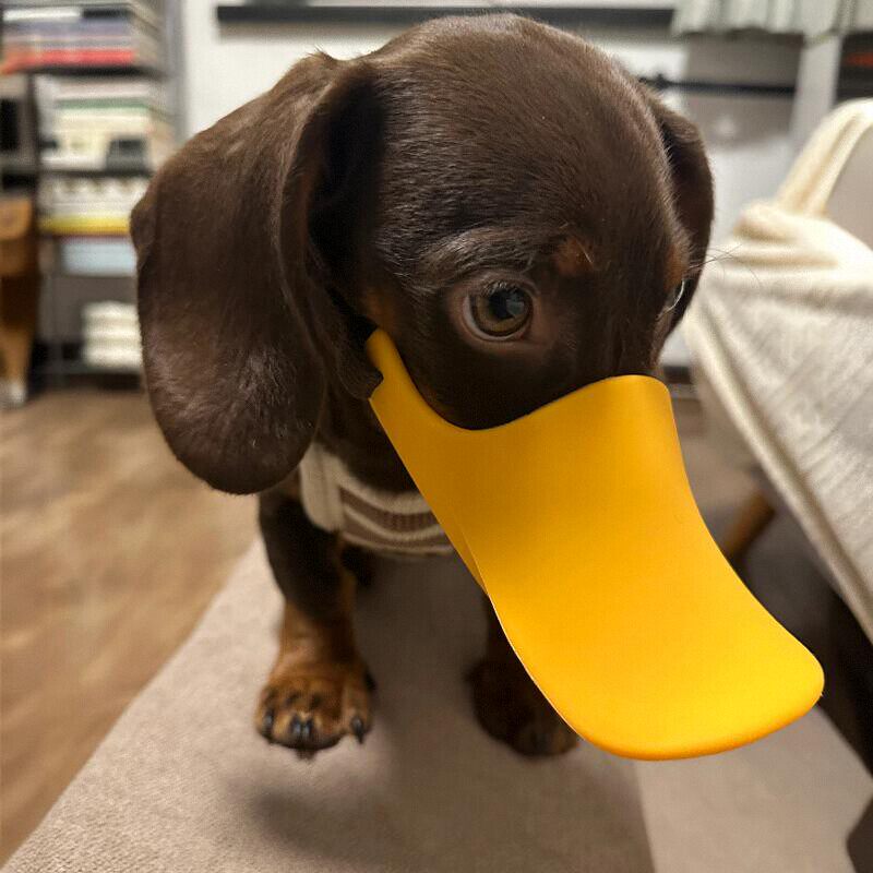 Hundemaulkorb aus Silikon in E – Dog Muzzle Silicone Bewertung und Preis