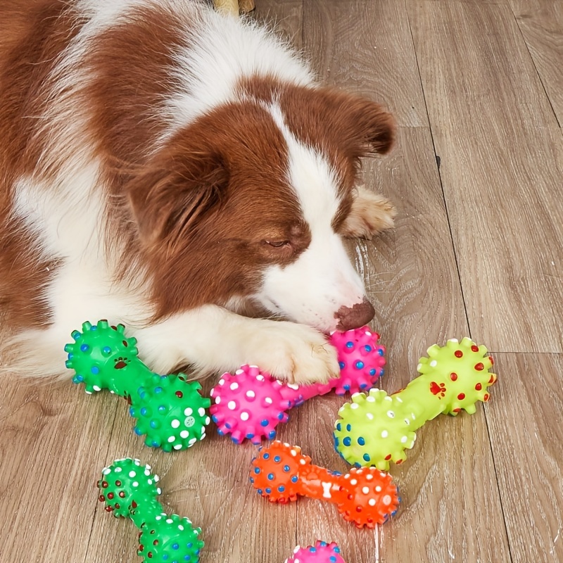 Hundespielzeug für große Hunde – Pet Supplies Pet Shop Bewertung und Preis