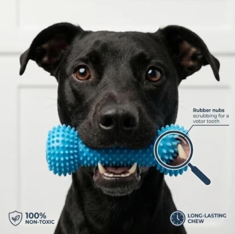 Doppelfunktions-Haustier-Zahnp – Pet Dental Chew Toy Bewertung und Preis