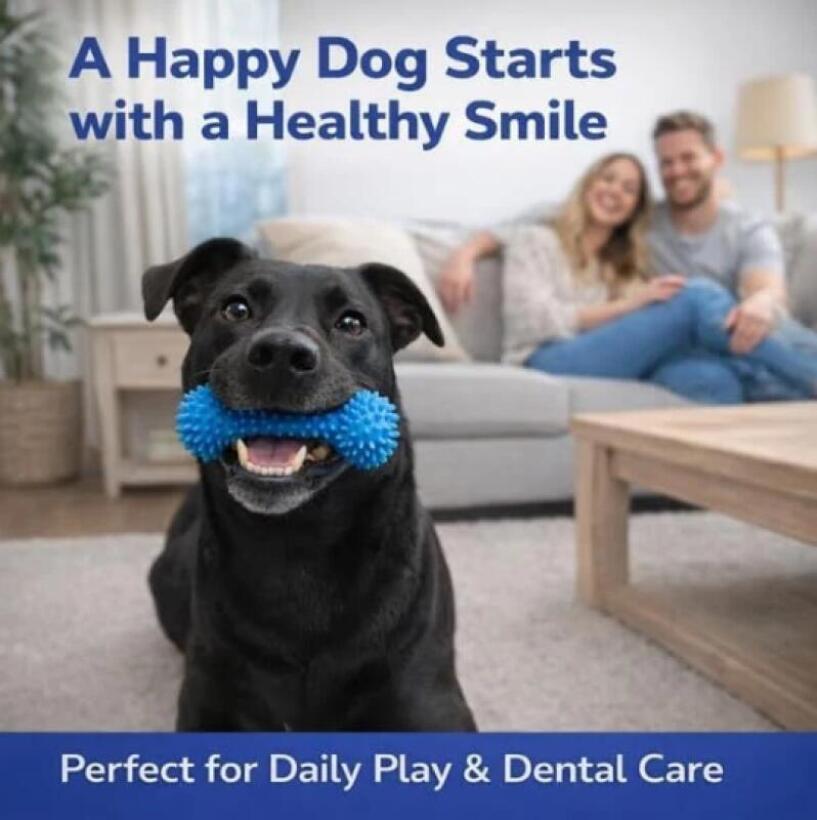Doppelfunktions-Haustier-Zahnp – Pet Dental Chew Toy Bewertung und Preis