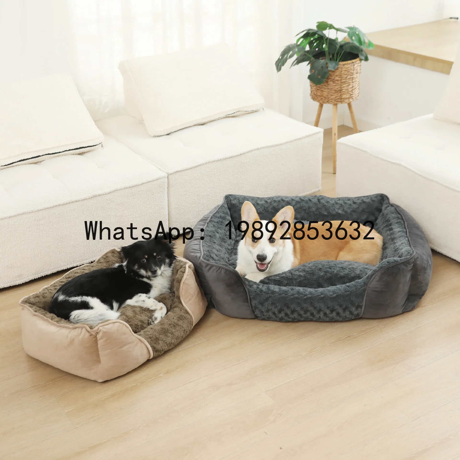 X Katzenhaus, halbgeschlossene – Pet X Supplies & Tack Photos Bewertung und Preis