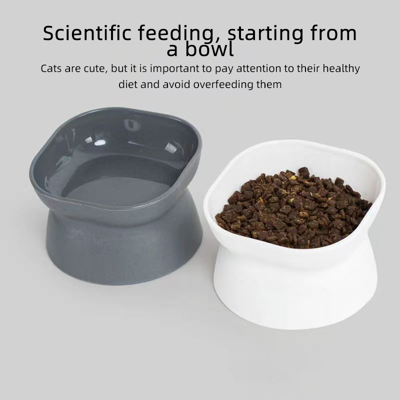 Mehrzweck-Futternapf für Katze – Slow Feeder Dog Bowl Bewertung und Preis