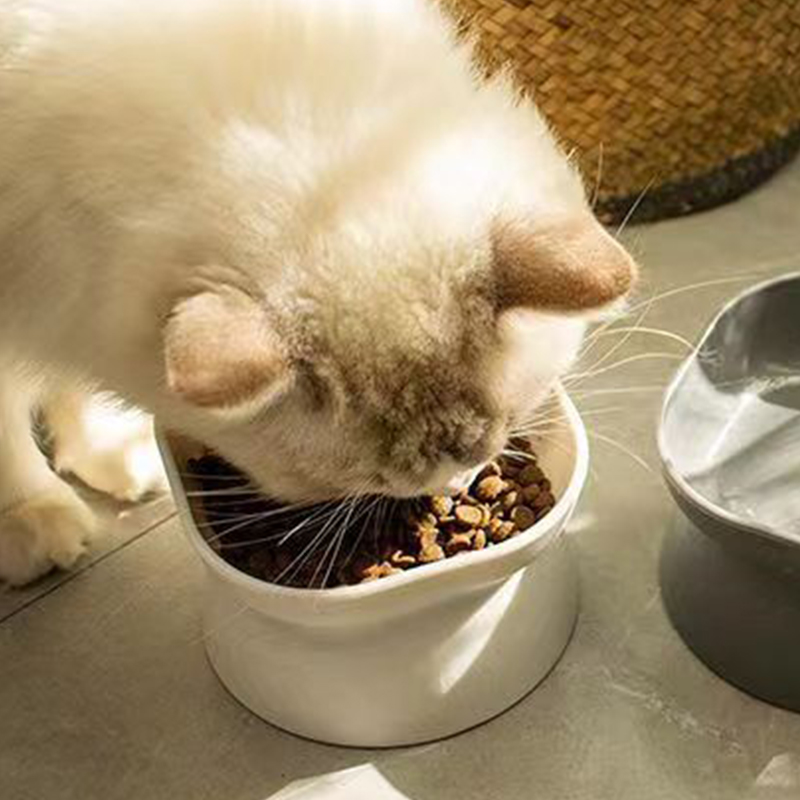 Mehrzweck-Futternapf für Katze – Slow Feeder Dog Bowl Bewertung und Preis