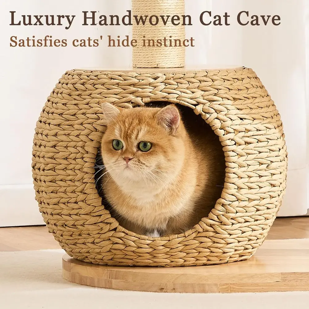30 Zoll Massivholz-Kratzbaum m – Cat Scratching Post Bewertung und Preis