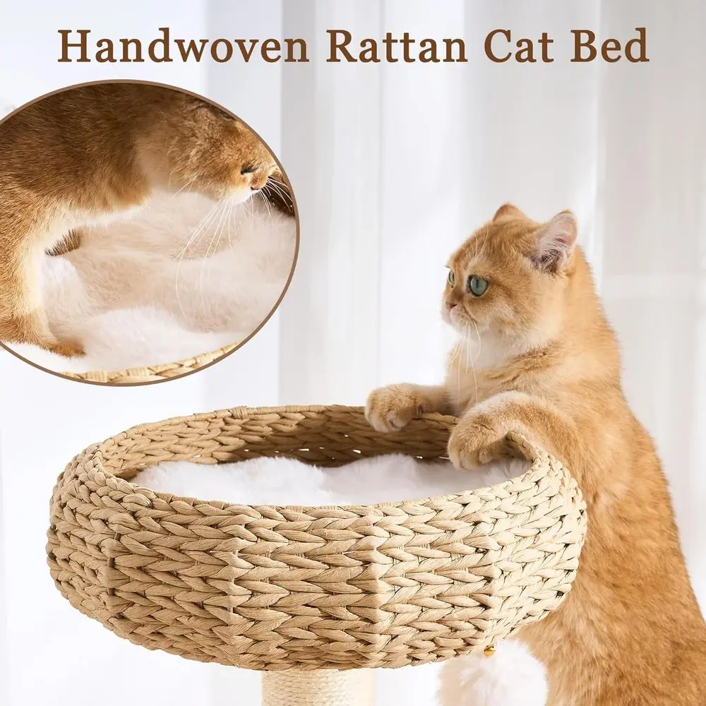 30 Zoll Massivholz-Kratzbaum m – Cat Scratching Post Bewertung und Preis