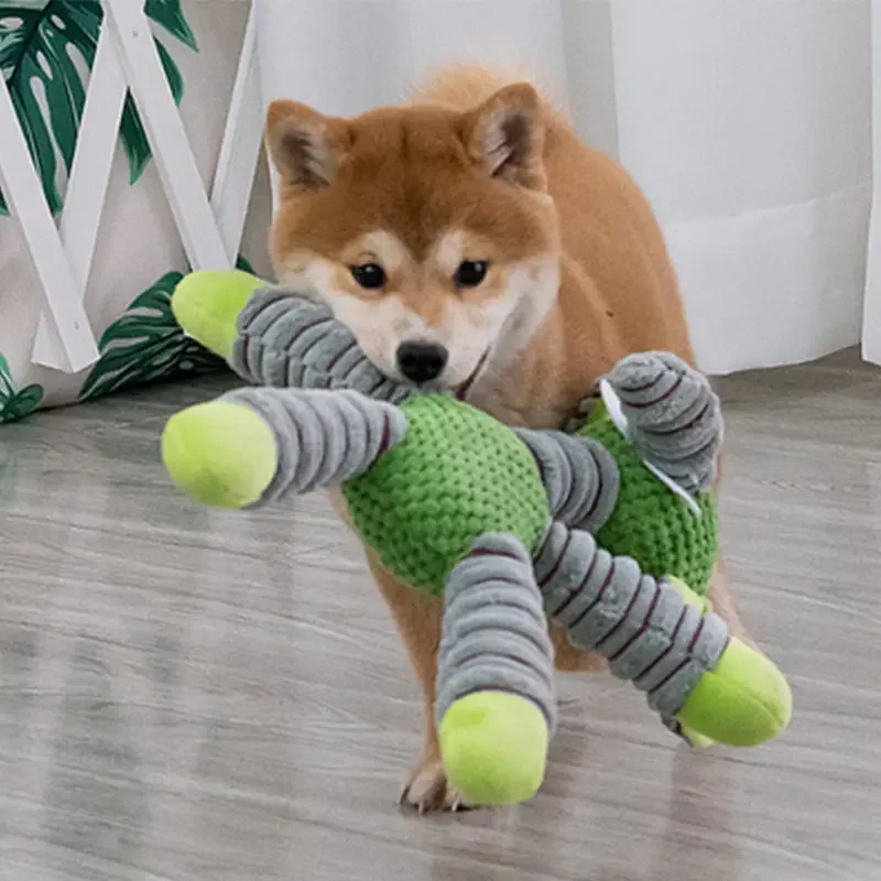 Unzerstörbares Großes Hunde-Qu – Pet Dental Chew Toy Bewertung und Preis