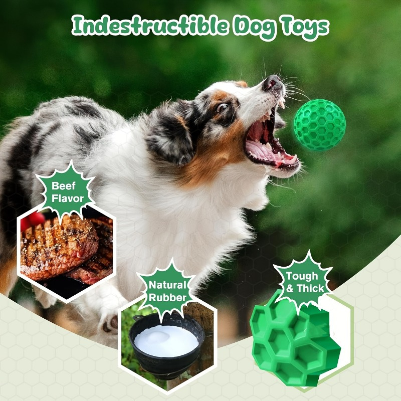 Robustes Naturkautschuk Hundek – Pet Dental Chew Toy Bewertung und Preis