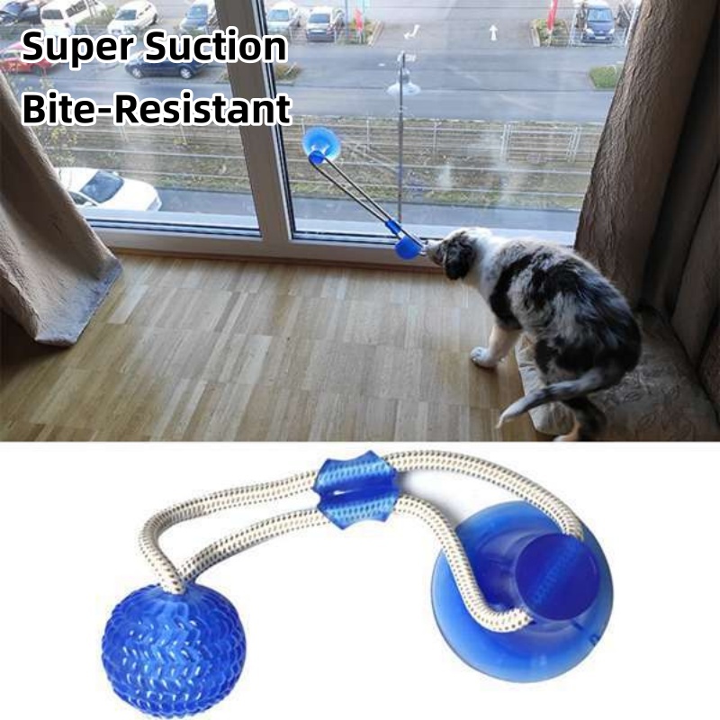 Langlebiges Saugnapf-Hundespie – Pet Dental Chew Toy Bewertung und Preis