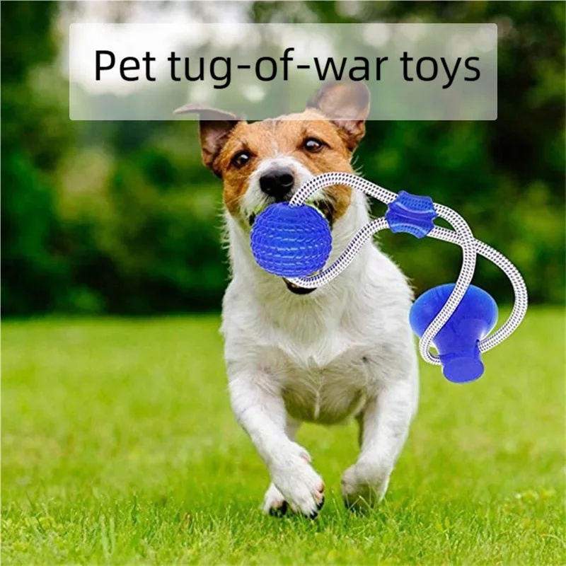 Langlebiges Saugnapf-Hundespie – Pet Dental Chew Toy Bewertung und Preis