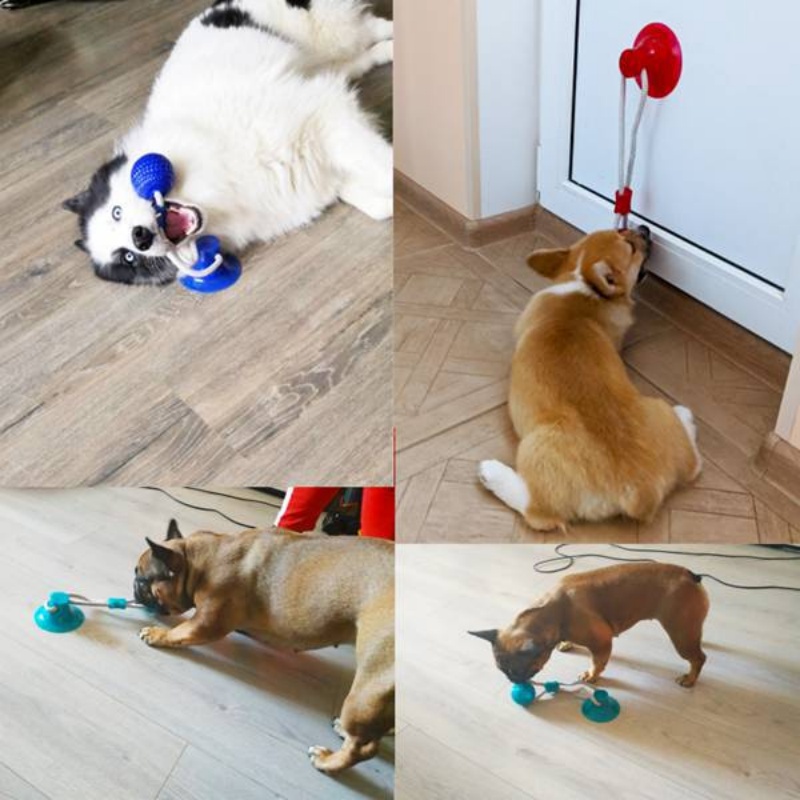 Langlebiges Saugnapf-Hundespie – Pet Dental Chew Toy Bewertung und Preis
