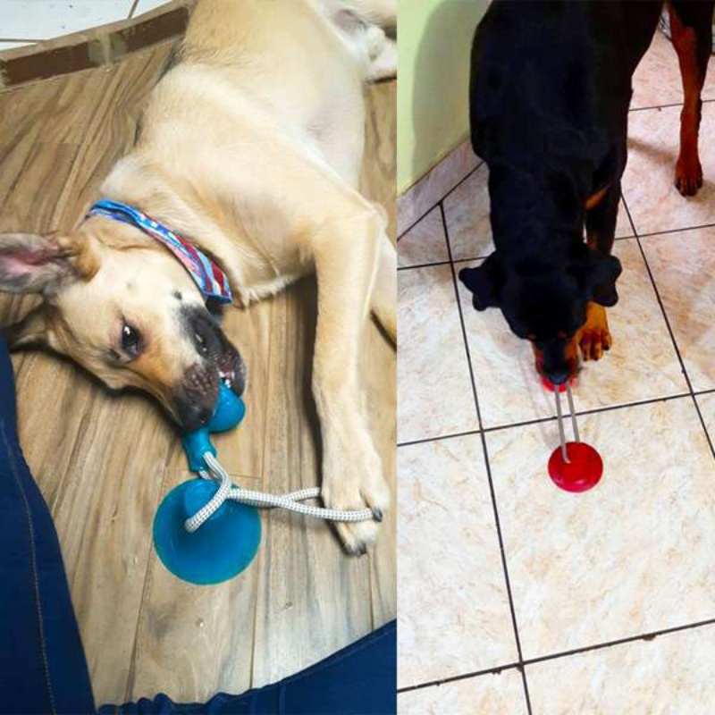 Langlebiges Saugnapf-Hundespie – Pet Dental Chew Toy Bewertung und Preis