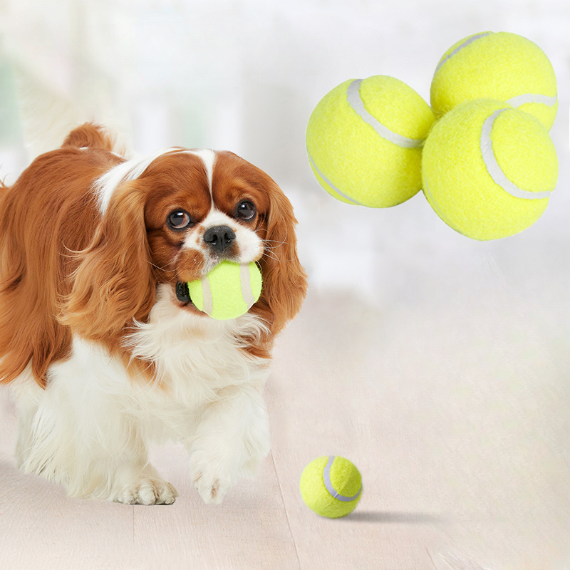 Interaktives Gestreiftes Gummi – Pet Dental Chew Toy Bewertung und Preis