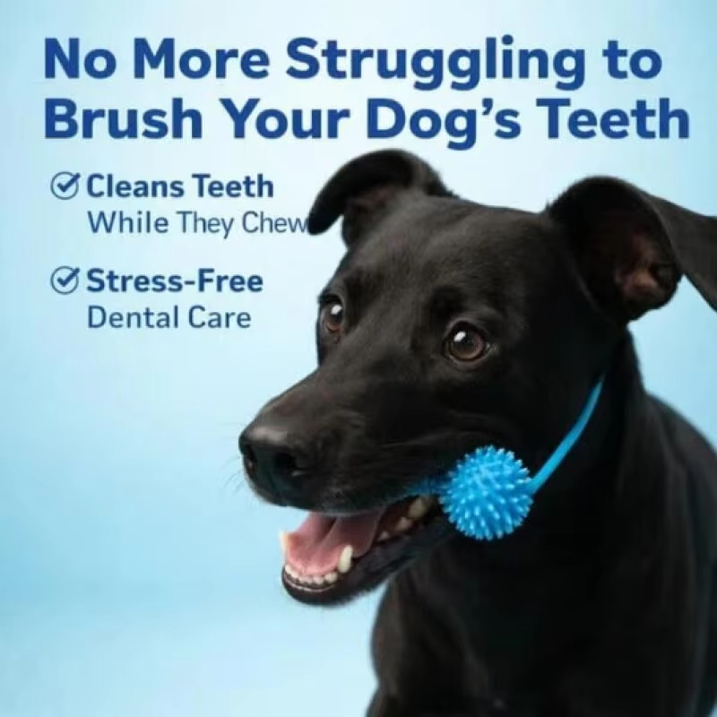 Hundezahnpflege-Kauspielzeug:  – Pet Dental Chew Toy Bewertung und Preis