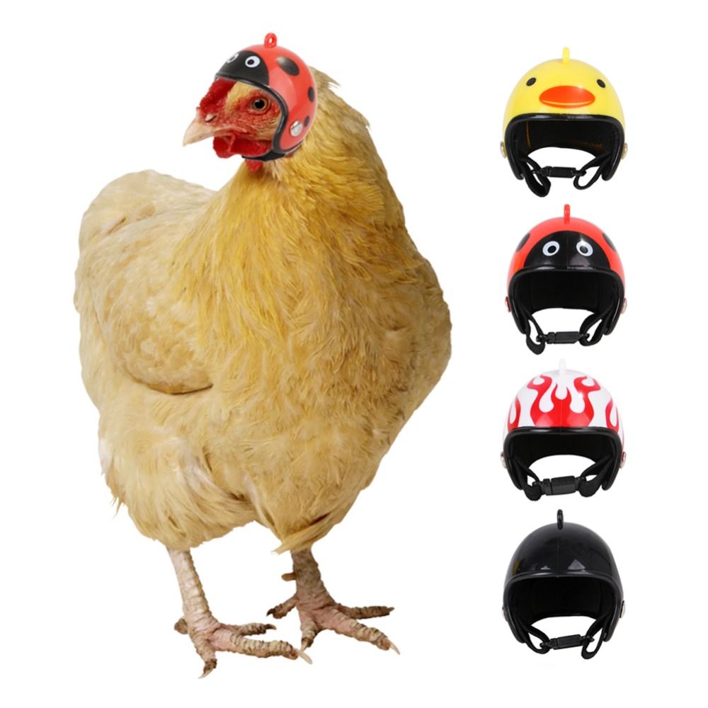 ABS Haustierzubehör Lustiger S – Pet X Supplies & Tack Photos Bewertung und Preis