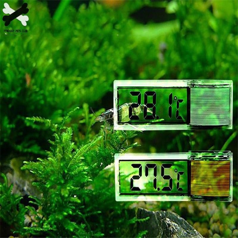 Digitales elektronisches Aquar – Pet Supplies Pet Shop Bewertung und Preis