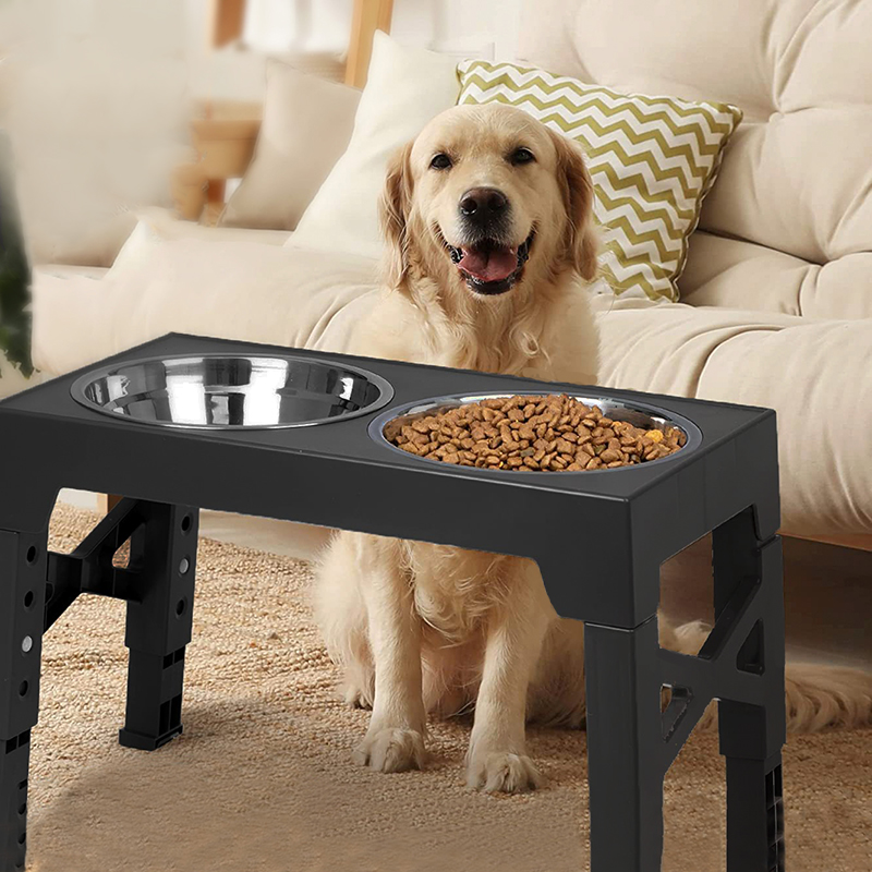 BOOTEELY Erhöhte Futternäpfe f – Slow Feeder Dog Bowl Bewertung und Preis