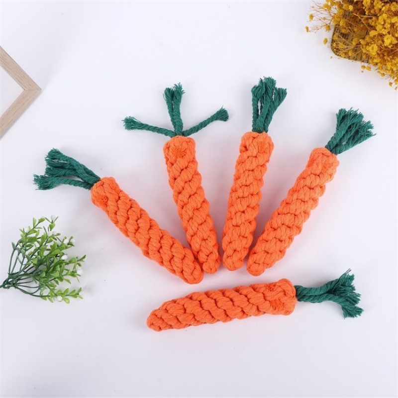 Karotten-Hundekau-Seilspielzeu – Pet Dental Chew Toy Bewertung und Preis