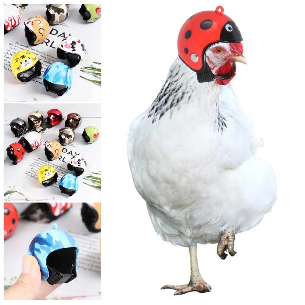 ABS Lustige Haustierzubehör Sc – Pet X Supplies & Tack Photos Bewertung und Preis