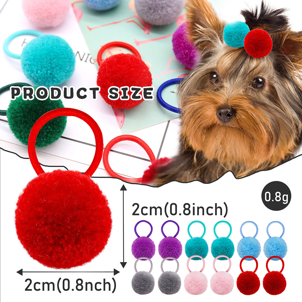 10PCS Haar Gummi Hund Zubehör  – Pet Supplies Pet Shop Bewertung und Preis