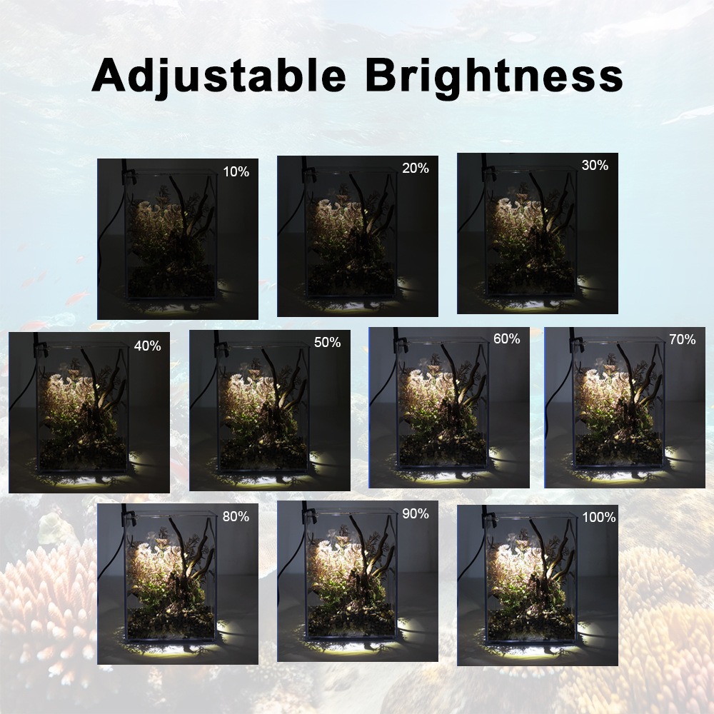 Superdünne LED-Aquariumbeleuch – Pet Supplies Pet Shop Bewertung und Preis