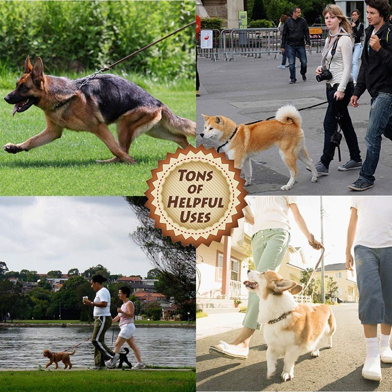Benepaw Hohe-ende Rindsleder L – Pet Supplies Pet Shop Bewertung und Preis